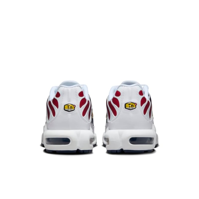 Nike Air Max Plus TN "PSG"