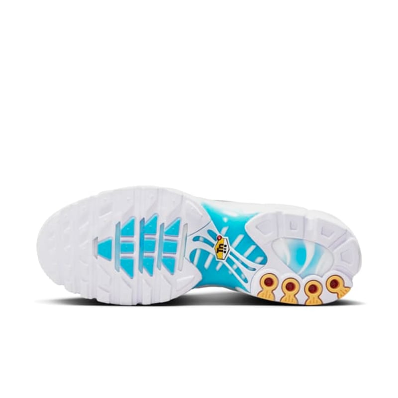 Nike Air Max Plus TN "Marseille"