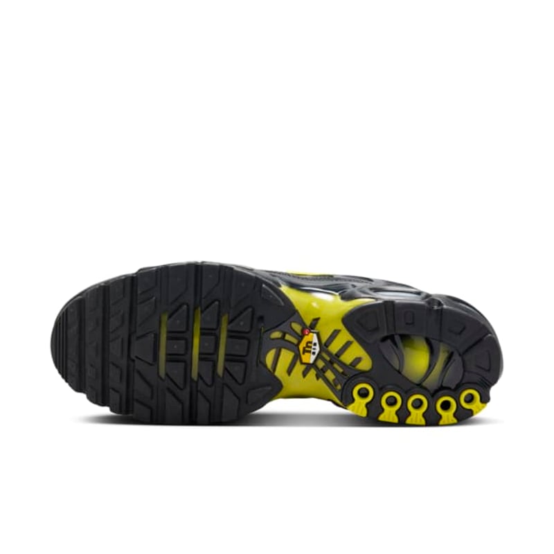 Nike Air Max Plus TN "Wolf Grey & Opti Yellow"