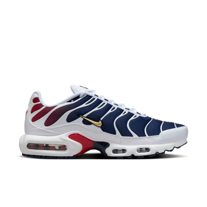 Nike Air Max Plus TN "PSG"
