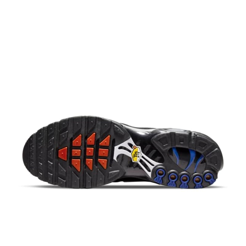 Nike Air Max Plus TN "France"