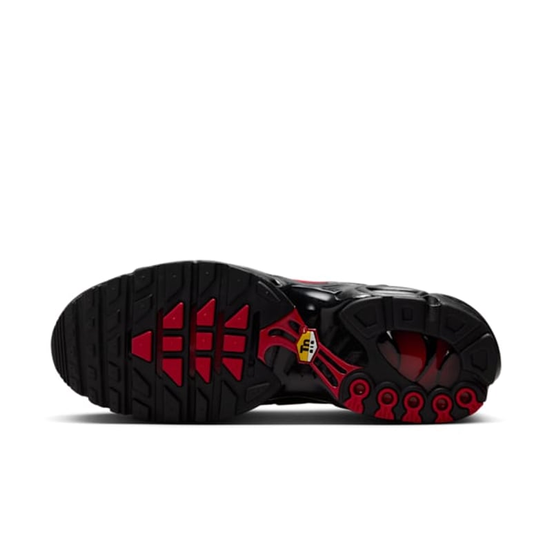 Nike Air Max Plus TN "Tuned Air"